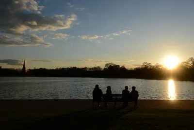 DSC_7152 (Large).JPG